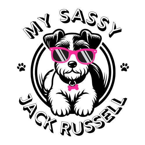 My Sassy Jack Russell